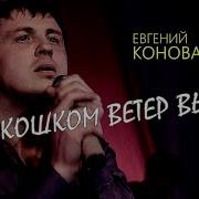 А за окошком ветер вьюжит. А за окошком ветер вьюжит Евгений Коновалов. А за окошком ветер вьюжит Евгений Коновалов слушать песню. Коновалов Женя а за окошком ветер вьюжит песня. Послушать песню Евгения Коновалова за окошком ветер вьюжит.