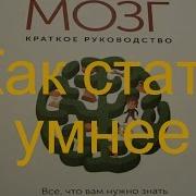 Мозг Краткое Руководство Все Что Вам Нужно Знать Для Повышения Продуктивности И Снижения Стресса Джека Льюиса И Адриана Вебстера